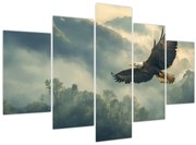 Kép - Repülő sas (150x105 cm)