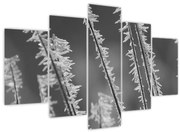 Kép - Fagyos hideg (150x105 cm)