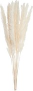 FLOWER MARKET mini pampafű csokor, fehér 30 cm