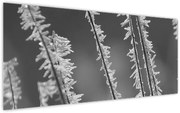 Kép - Fagyos hideg (120x50 cm)