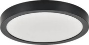 Rabalux 75076 - LED fürdőszobai mennyezeti lámpatest SHAUN PLUS 30W/230V átmérő 30 cm IP44 fekete
