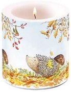 Őszi süni átvilágítós viasz gyertya 8x7,5 cm Forest friends