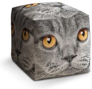 Cube zsámoly macskatekintet, szürke