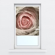 Fotó redőnyök R014988R57150 (57x150 cm)