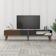 TV szekrény Milan Alt - Diós, Antracit