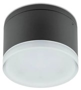 Redo 90107 - LED Kültéri mennyezeti lámpa AKRON 1xLED/9W/230V IP54