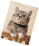 BedTex Gyerek takaró Cica Csengettyű, 150 x 200 cm
