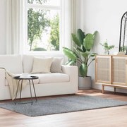 ezüstszürke hosszú szálú NAVARRA bozontos szőnyeg 130x200 cm