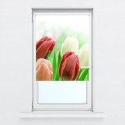 Fotó redőnyök R012181R42150 (42x150 cm)