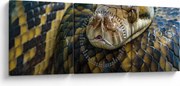 Kép - Piton (órával) (90x30 cm)