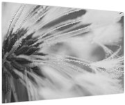 Kép - Pitypang (90x60 cm)