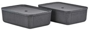 Tárolókosár szett 2 db-os 48x32x20.5 cm Pulp – Zone