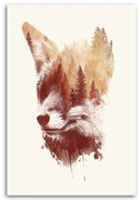 Gario Vászonkép Foxy tükör - Robert Farkas Méret: 40 x 60 cm