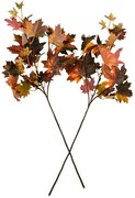 Készlet Őszi ág 62 cm, 2 db