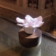 Design diffúzor fehér jázmin motívummal - ANOQ