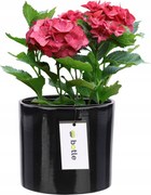 Virágcserép kerámia fedél Ø 13,5cm H 12,5cm fekete fényes