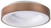 Rabalux 5053 - LED Mennyezeti lámpa CARMELA LED/50W/230V
