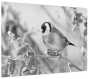 Kép - Egy madár télen (70x50 cm)