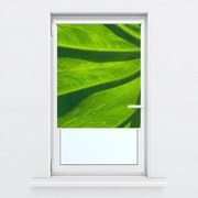 Fotó redőnyök R014829R57150 (57x150 cm)