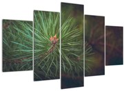 Kép - Fenyőfa részlete (150x105 cm)