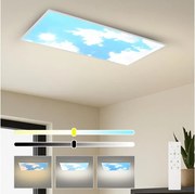 BRILAGI - LED dimmelhető mennyezeti lámpatest SLIMFRAME SKY LED/80W/230V 120x60 cm + távirányító