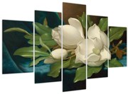 Kép - Martin Johnson Heade, Giant Magnolias on a Blue Velvet Cloth, reprodukciók (150x105 cm)