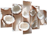 Kép - Kókuszdiók (150x105 cm)