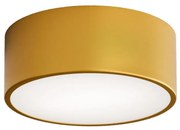 Fürdőszobai mennyezeti lámpa CLEO 1xE27/24W/230V átm. 20 cm arany IP54