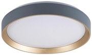 Rabalux 71185 - LED Mennyezeti lámpa LIATRIS LED/25W/230V 3000K átm. 38 cm 71185