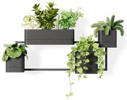 Műanyag virágcserép készlet fűszernövényekhez, 4 db-os -függő Cubiko – Umbra