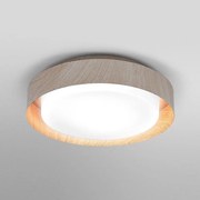 Ledvance - Mennyezeti lámpa ORBIS MADRID 2xE27/10W/230V fa