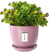 Kerámia kaspó 30x25 cm púderrózsaszín