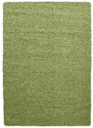 Zöld szőnyeg 120x170 cm Life – Ayyildiz Carpets