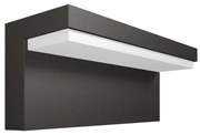 Philips Philips 16483/93/P0 - LED Kültéri fali lámpa BUSTAN 2xLED/4,5W IP44 P1795