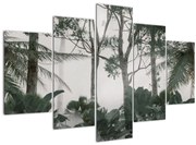 Kép - dzsungel a reggeli ködben (150x105 cm)