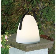 Eglo 48841 - LED Kültéri asztali lámpa COLLIRADOS LED/3xAA IP44