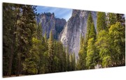 Kép - A Yosemite szikla alatt (120x50 cm)