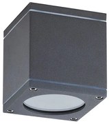 Rábalux Akron 8149 kültéri mennyezeti lámpa, 35W GU10