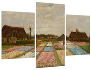 Kép - Vincent van Gogh, Flower Beds in Holland, reprodukciók (90x60 cm)