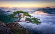 Fotográfia On the rock, Tiger Seo