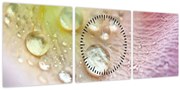 Kép - Harmatcseppek (órával) (90x30 cm)