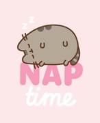 Pusheen Nap Time flanel polár takaró 130x160cm