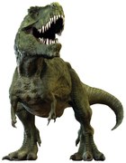 T-REX 3D matrica, 14 x 20 cm