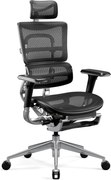 Ergonomikus irodai szék lábtartóval Normal Size, fekete: Diablo V-Master