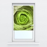 Fotó redőnyök R014957R42150 (42x150 cm)