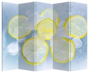 Paraván -  Citrom a jégben (210x170 cm)