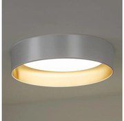 Duolla - LED Mennyezeti lámpa ROLLER LED/24W/230V átm. 45 cm ezüst/arany