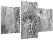 Kép - Wild Meadow (90x60 cm)