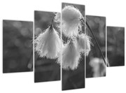 Kép - Cottongrass (150x105 cm)