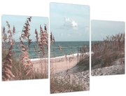 Kép - Rózsaszín strand (90x60 cm)